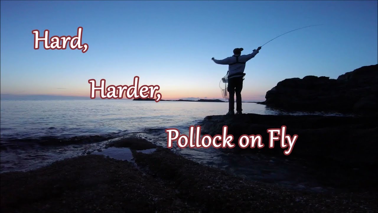 Hard, Harder, Pollock on Fly  -  Pollock fishing - Fliegenfischen auf Pollack in Norwegen
