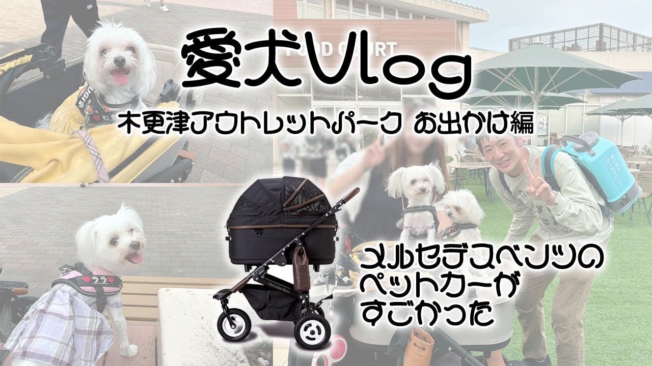 【Vlog】愛犬と木更津アウトレットパーク / 念願のさかがみ家カフェ