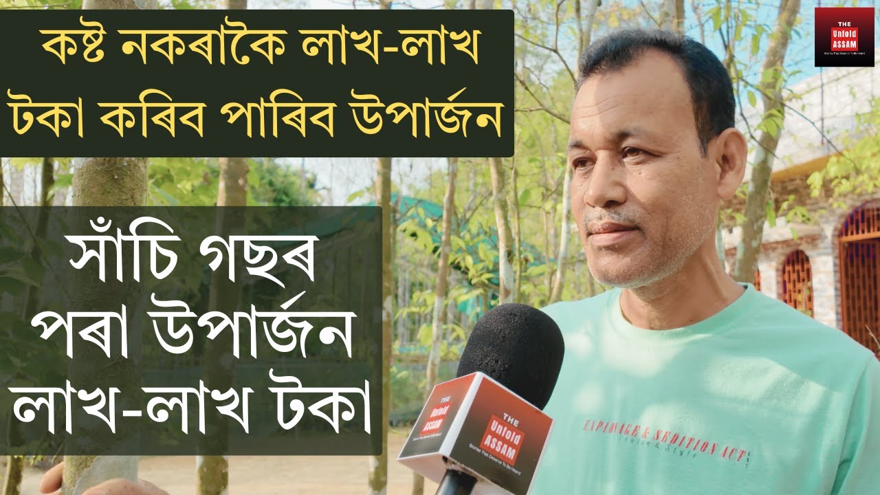 সাঁচি গছৰ পৰা উপাৰ্জন লাখ- লাখ টকা || Agarwood Farming || The Unfold ASSAM