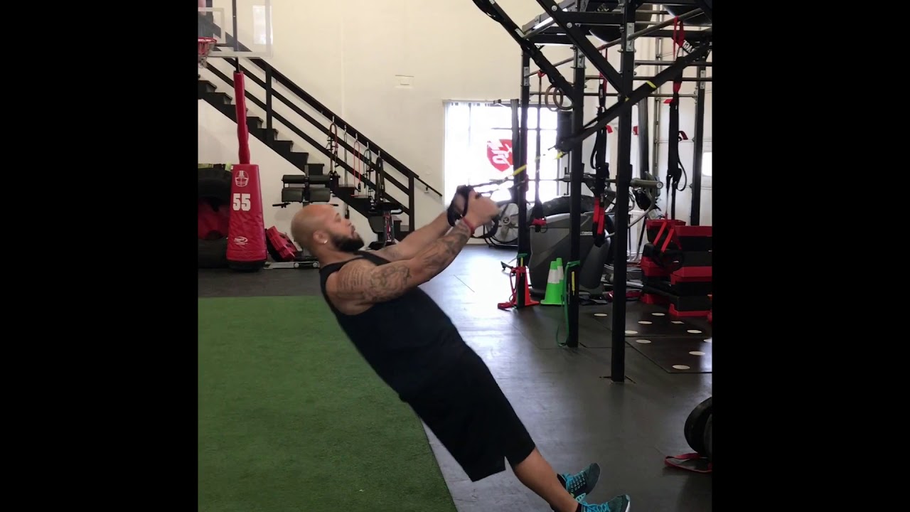 TRX Back Fly