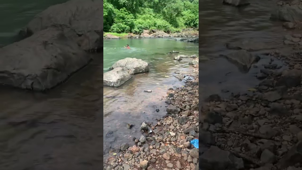 Sanjay Gandhi national park 🍀#natural #rivers