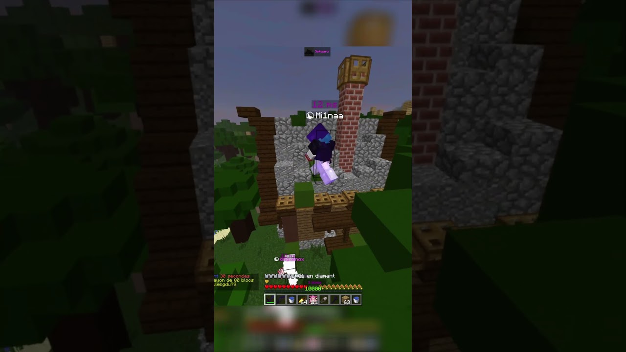 lg feutré et braconnier 11 kill  #minecraft #uhc #uhcworld #pvp #gaming #mc