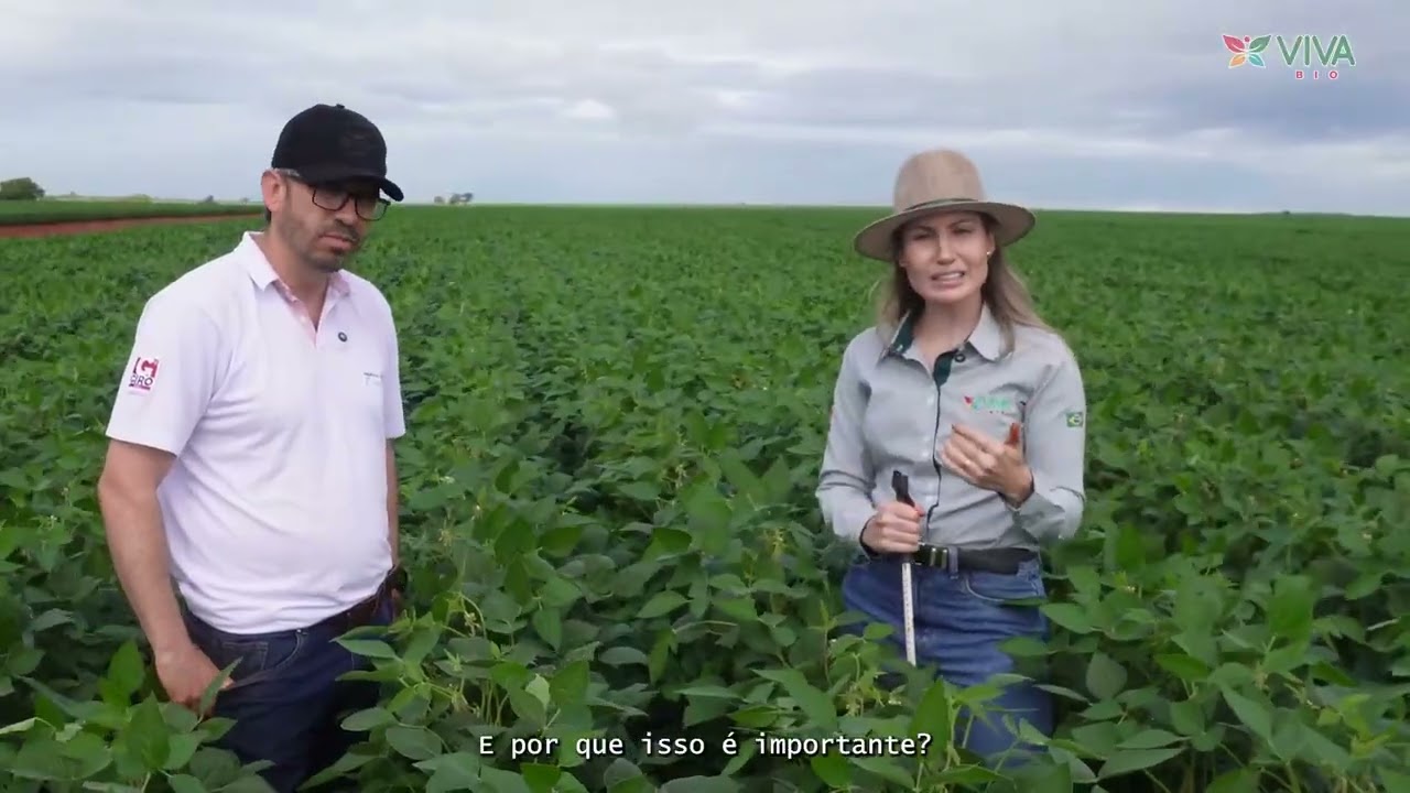 A importância dos biofungicidas biológicos - LORENS VIVAbio