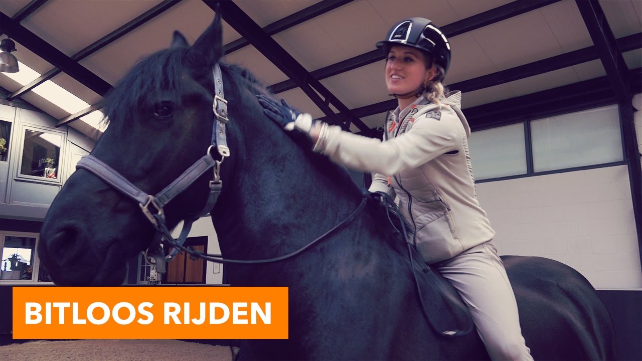 Bitloos rijden met Teddy  | PaardenpraatTV