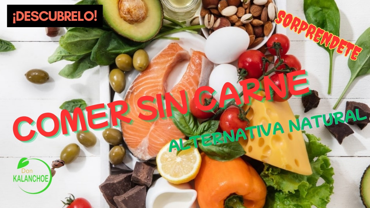 No quiero comer carne ⭐ MASTER K 3705 💖