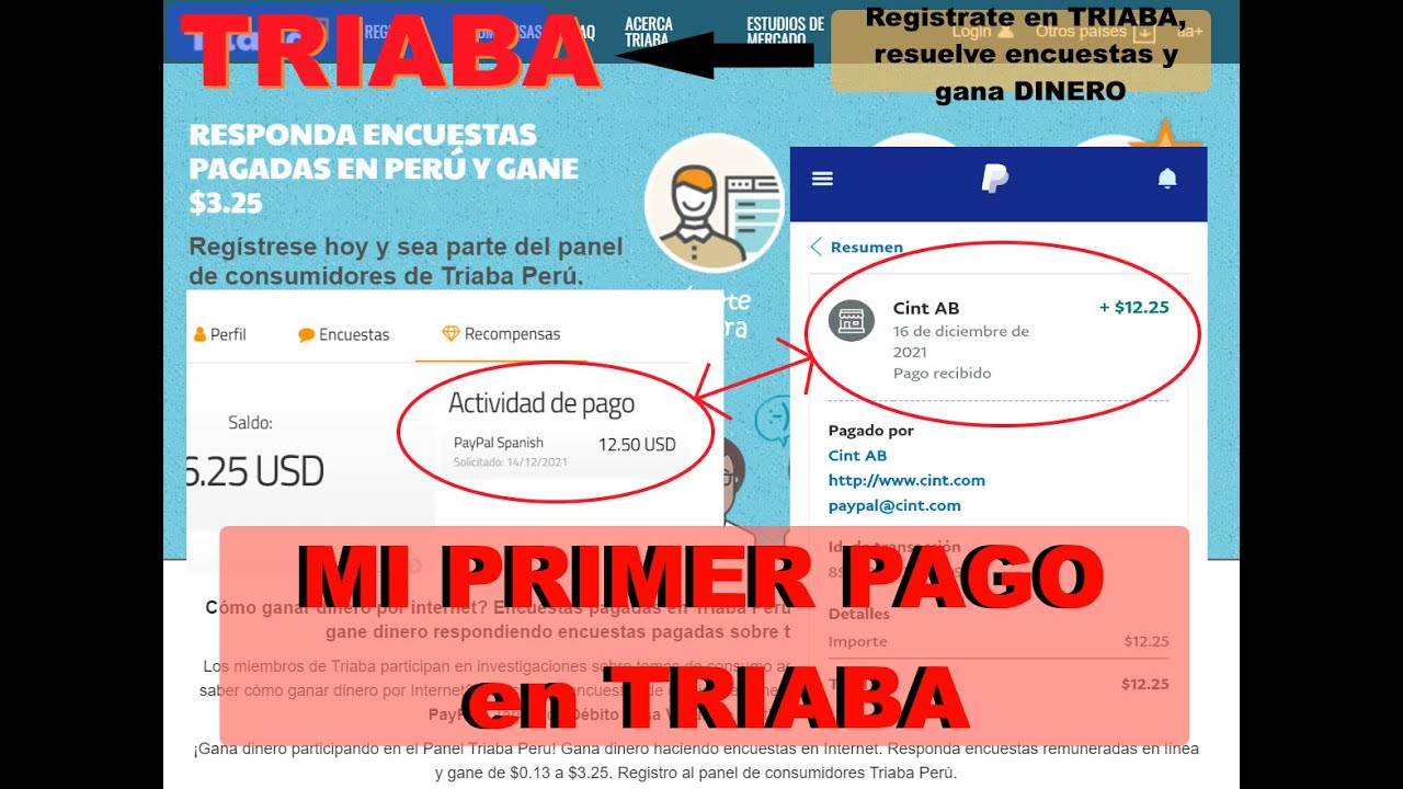 TRIABA - MI PRIMER PAGO en TRIABA | PAGOS MEDIANTE PAYPAL | TRIABA