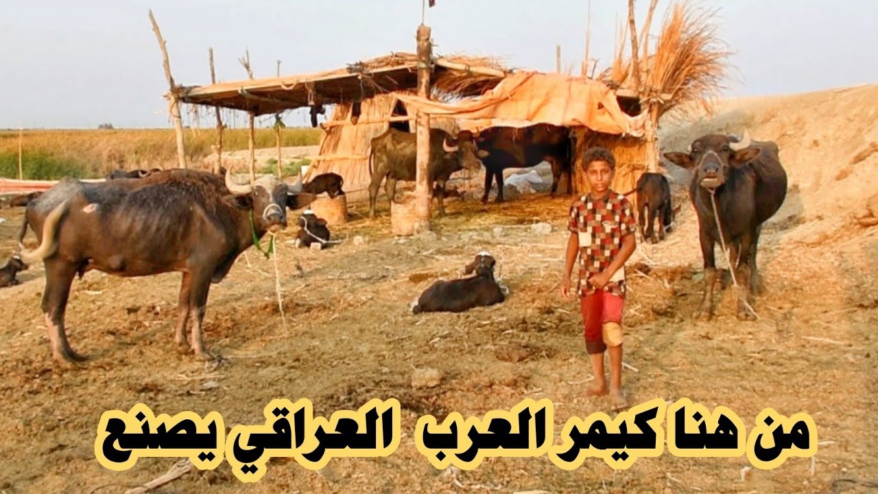 وصلنا لمصانع گيمر العرب في الناصرية / محمد الدرويش