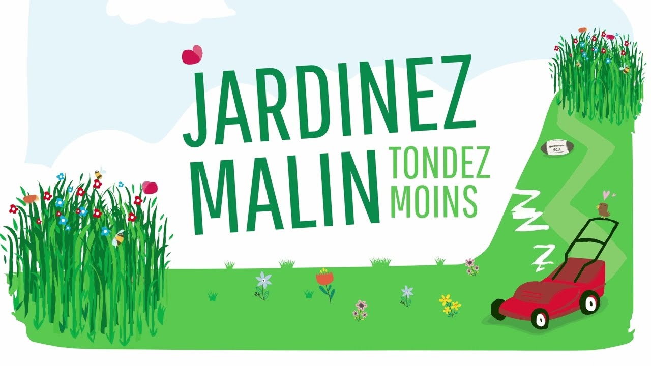 Entretenir son jardin différemment avec la tonte bien pensée