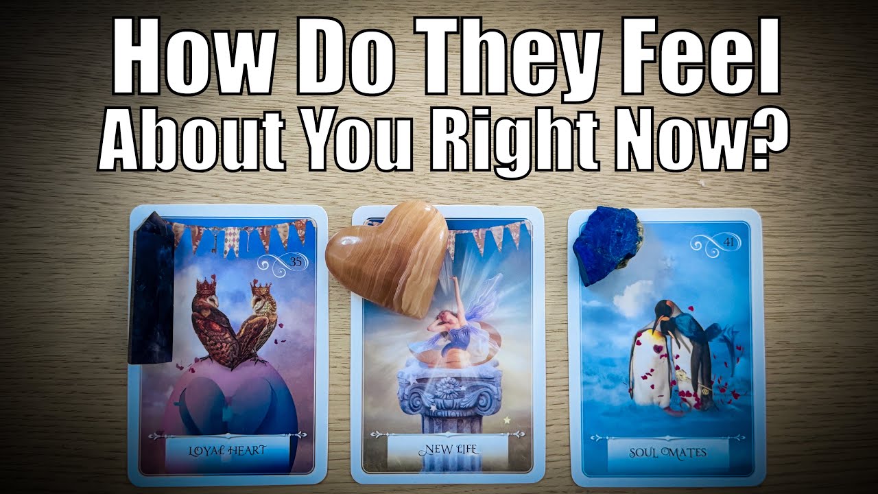 ✨💫 THEIR FEELINGS FOR YOU RIGHT 💞🐈‍⬛ ACTIONS • POTENTIAL • ADVICE 🌒 Pick-A-Card | Tarot Reading