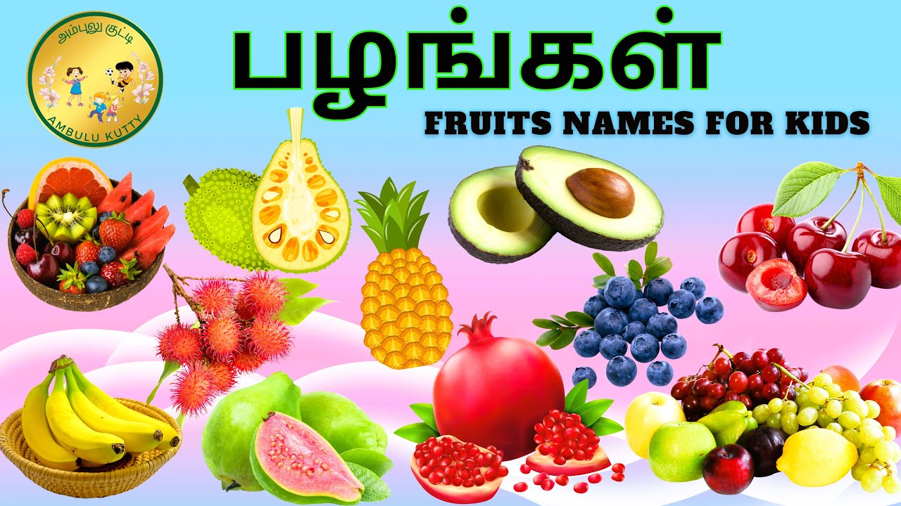 Fruits name in Tamil | 🍍🍎🍒| பழங்களின் பெயர்கள் | Pazhangal | பழங்கள் | @AmbuluKutty |