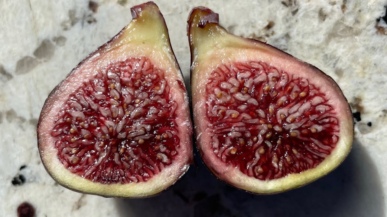 Дегустация инжира «Черный крест» от полковника Литтмана — высший класс 🤯