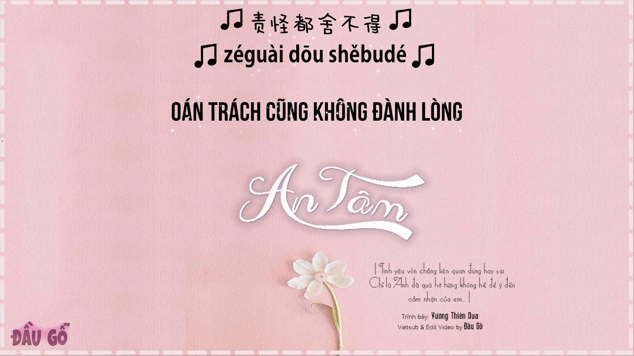 [Vietsub] An T&acirc;m - Vương Thi&ecirc;n Qua | 王天戈 - 心安理得 | Tiktok【Gỗ】