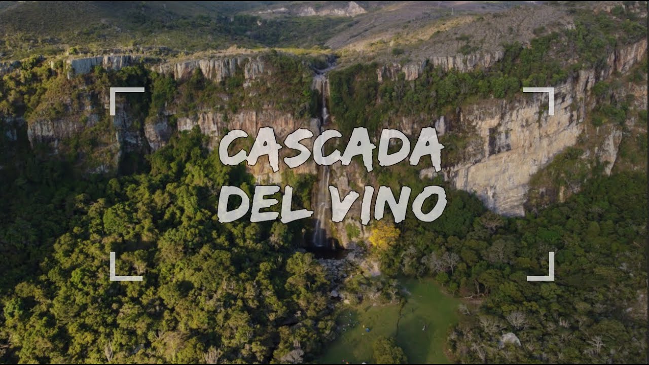 El 'Salto Ángel' larense | Cascada del Vino - Venezuela 🇻🇪