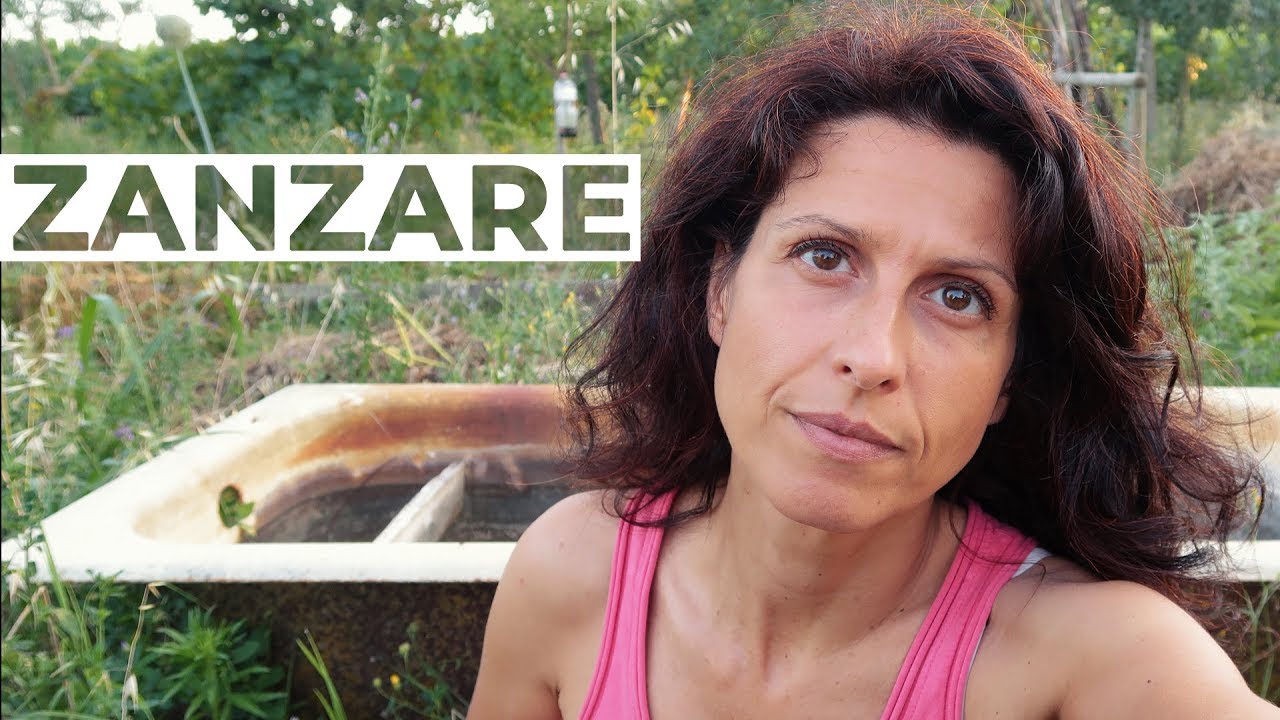 Zanzare e insetticidi. CI STIAMO AVVELENANDO!
