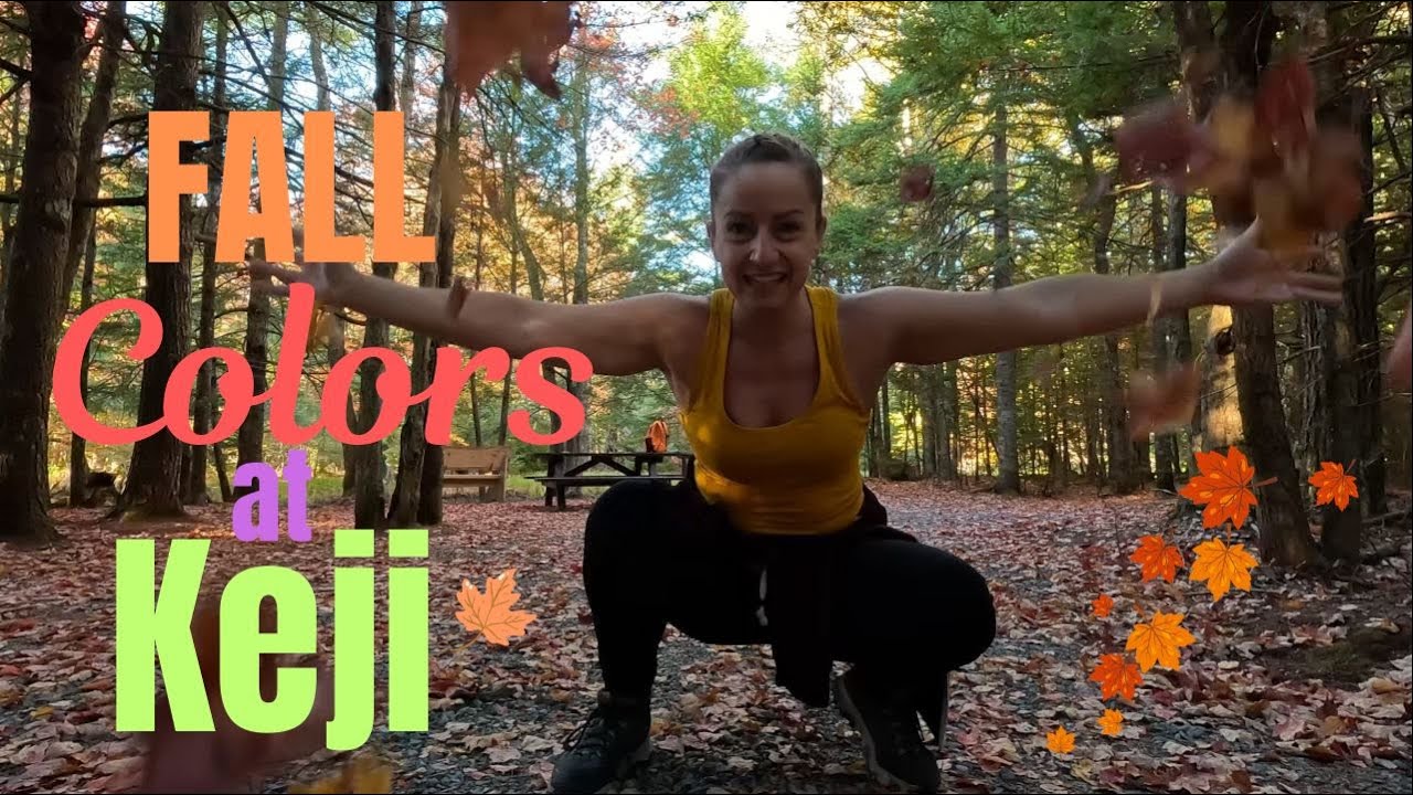Forest Bathing in Fall Colors! Solo Overnight in Kejimkujik National Park