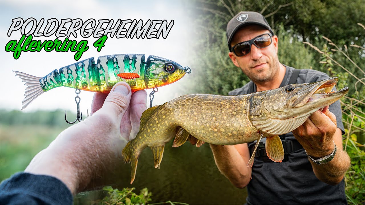 Met swimbaits op poldersnoek! | Poldergeheimen | Afl. 4 | Serge Sonneveldt