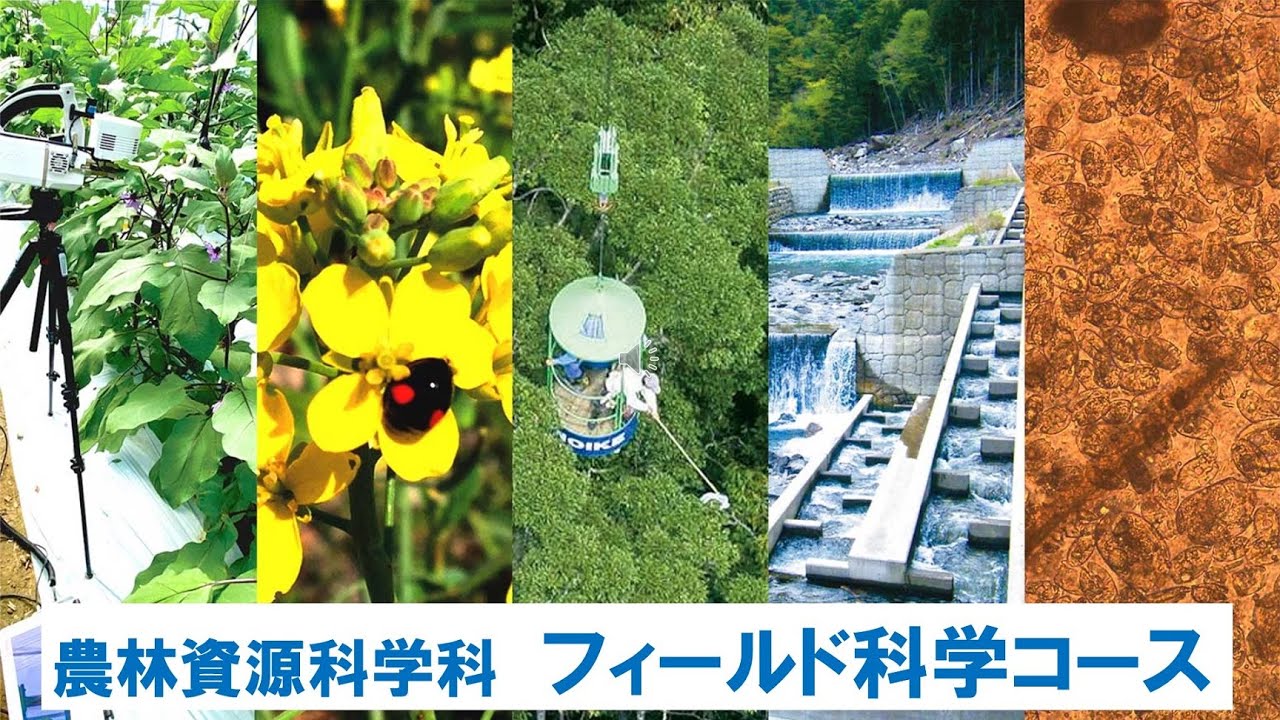 フィールド科学コース（農林資源科学科）