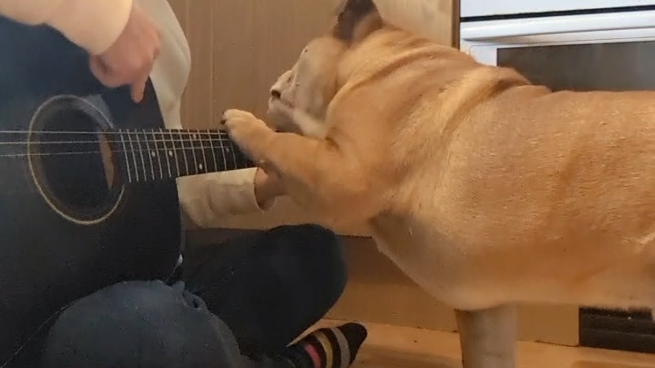 Оба мальчика — музыкальные гении 😁