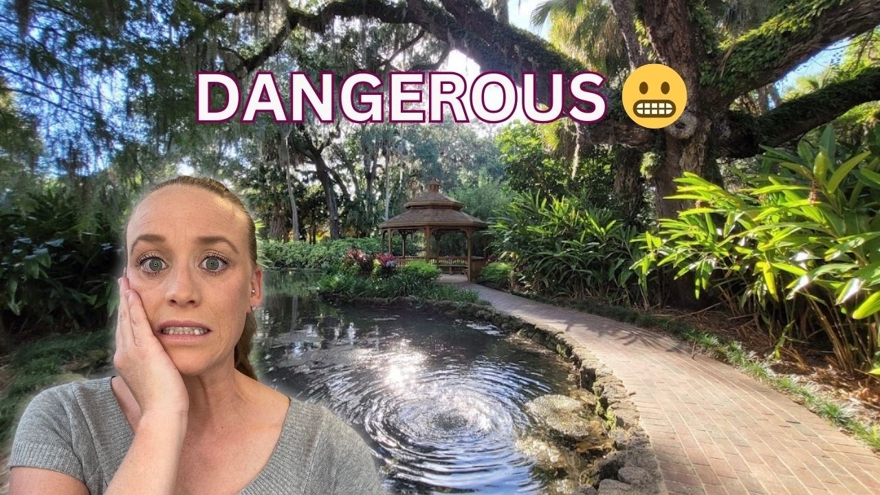 Совершенно серьезные причины, почему покупка дома в Палм-Косте опасна.