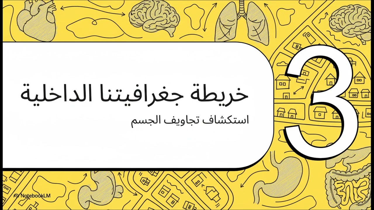 الألم بعين التشريح 