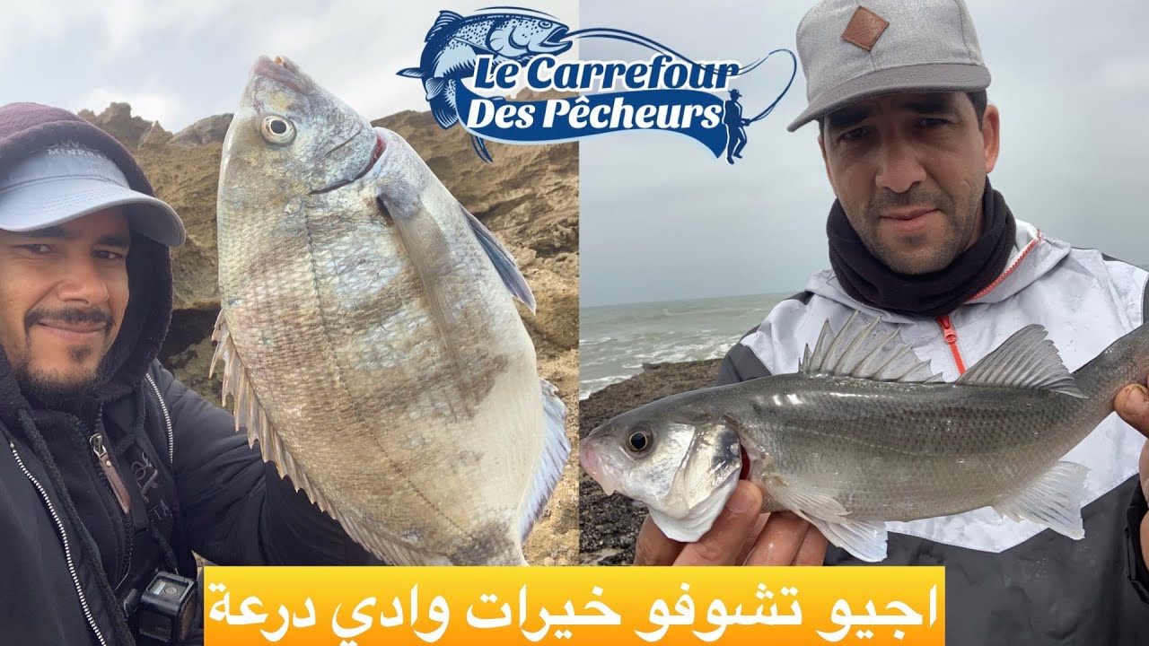 يوم كامل من السحب و التقاوس مع اسماك الشرغو و الدرعي في مصب وادي درعة شمال طانطان
