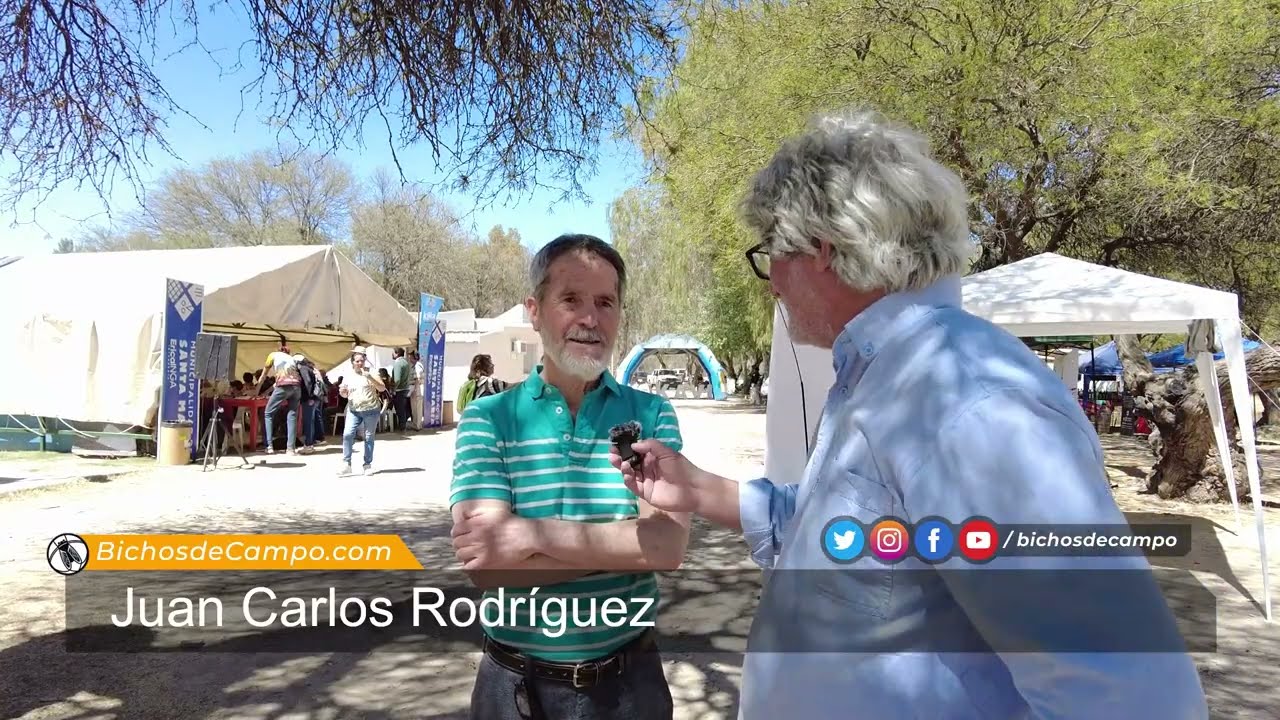 Juan Carlos Rodríguez,  ingeniero agrónomo impulsor de la esquila controlada de vicuñas