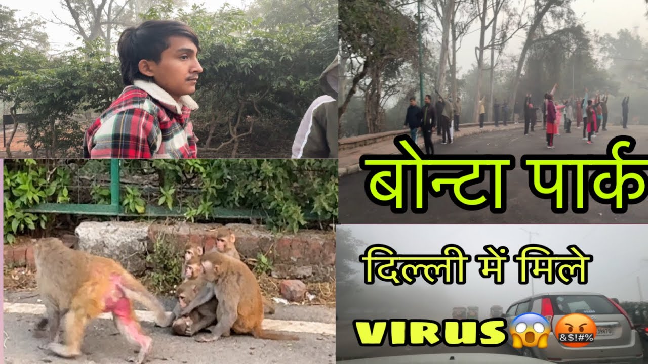 बोन्टा पार्क दिल्ली में मिले virus #delhi #vlog #explore #viralvideo #youtubevideo #youtubechannel 