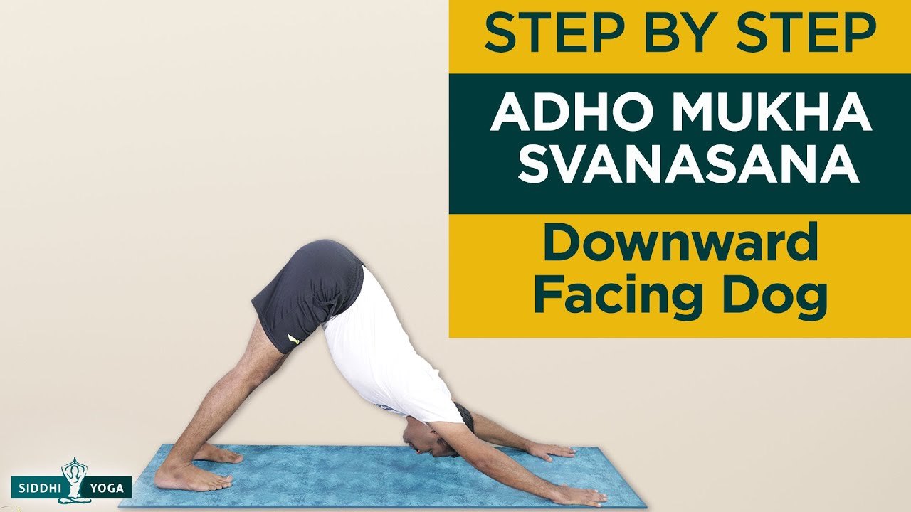 Adho Mukha Svanasan  (Downward-Facing Dog ) Benefits, How to Do by Yogi Sandeep - Siddhi Yoga