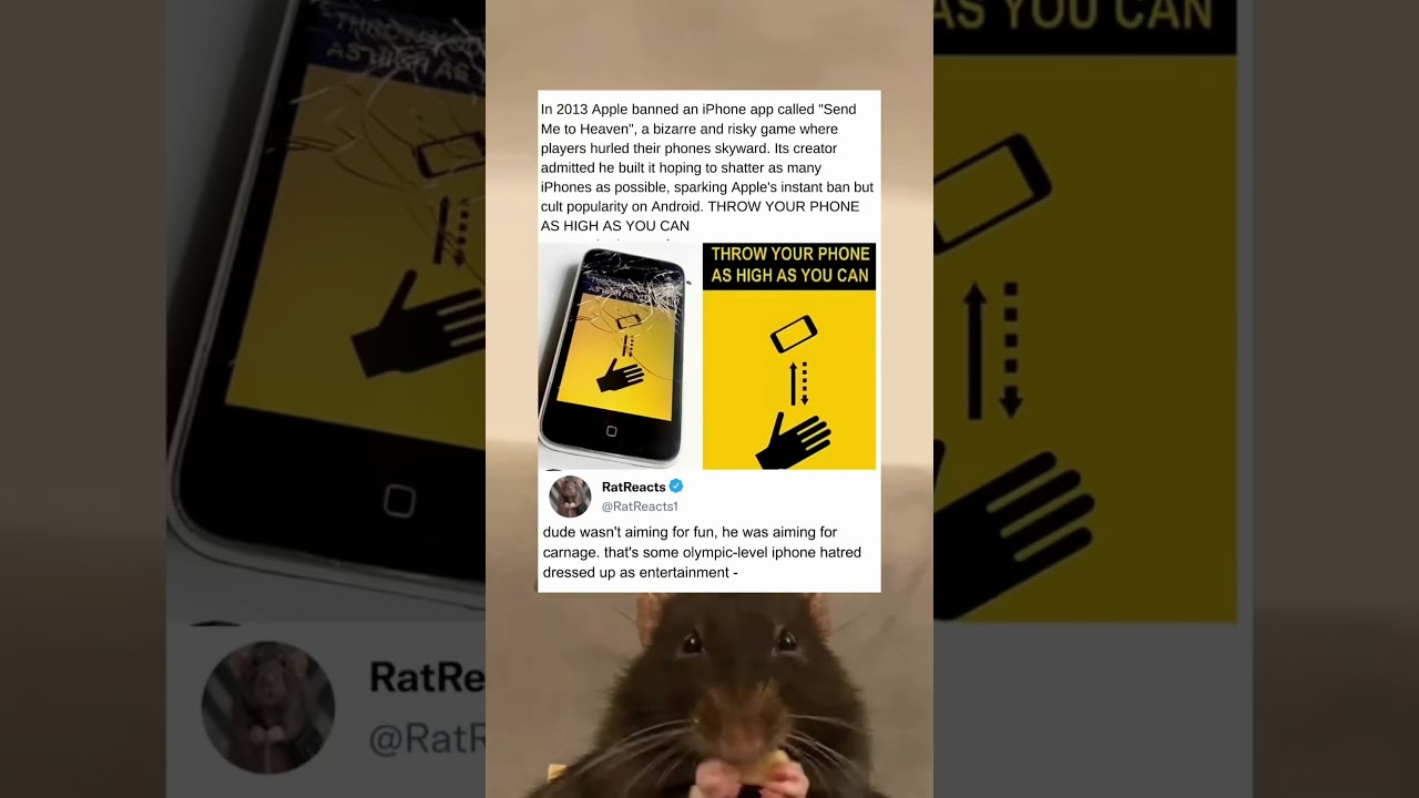 Создатель этой игры признался, что хотел разбить как можно больше айфонов.