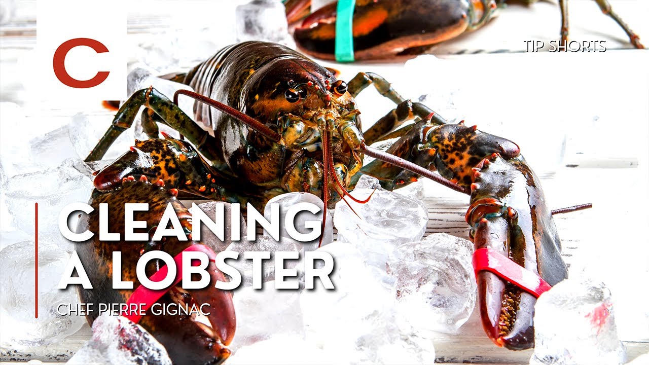 Чистка лобстера | Шеф-повар Пьер Жиньяк | Советы #шорты