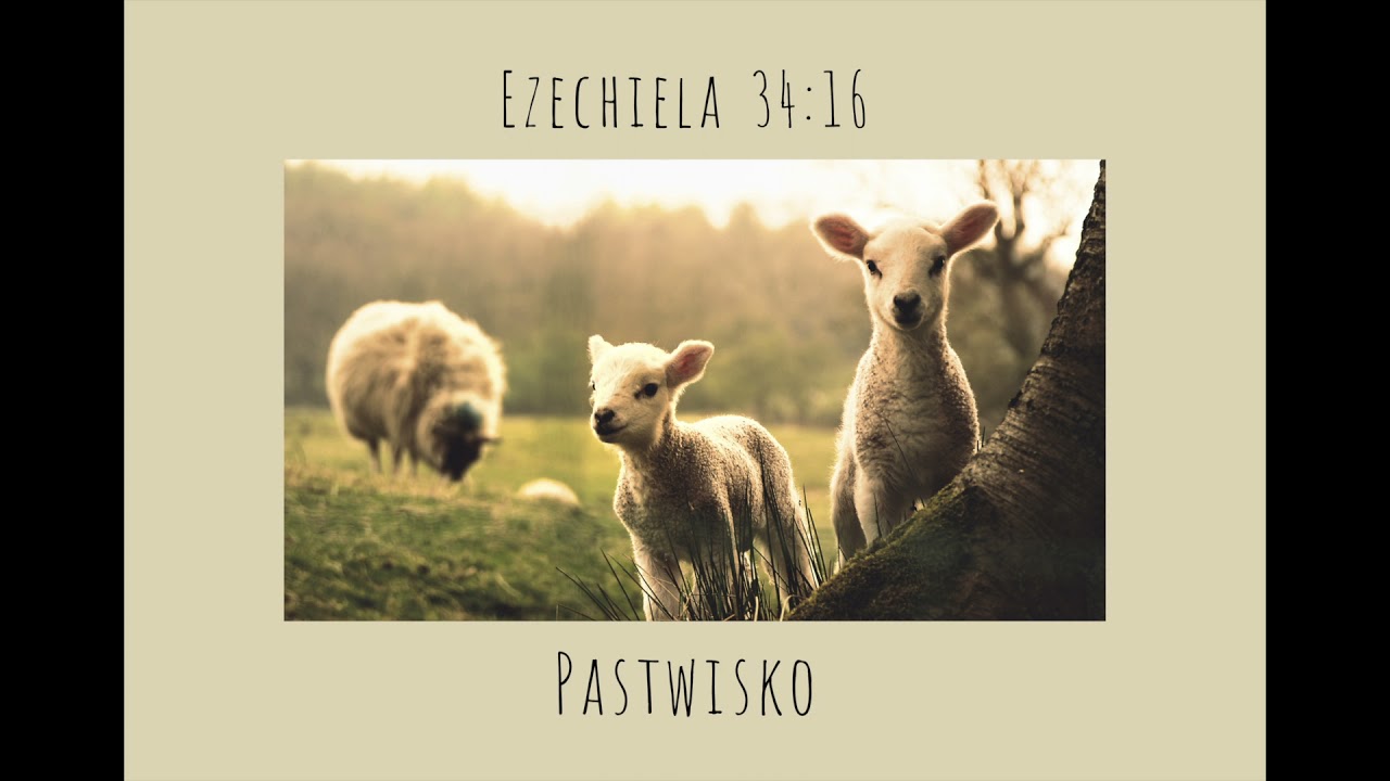 PASTWISKO
