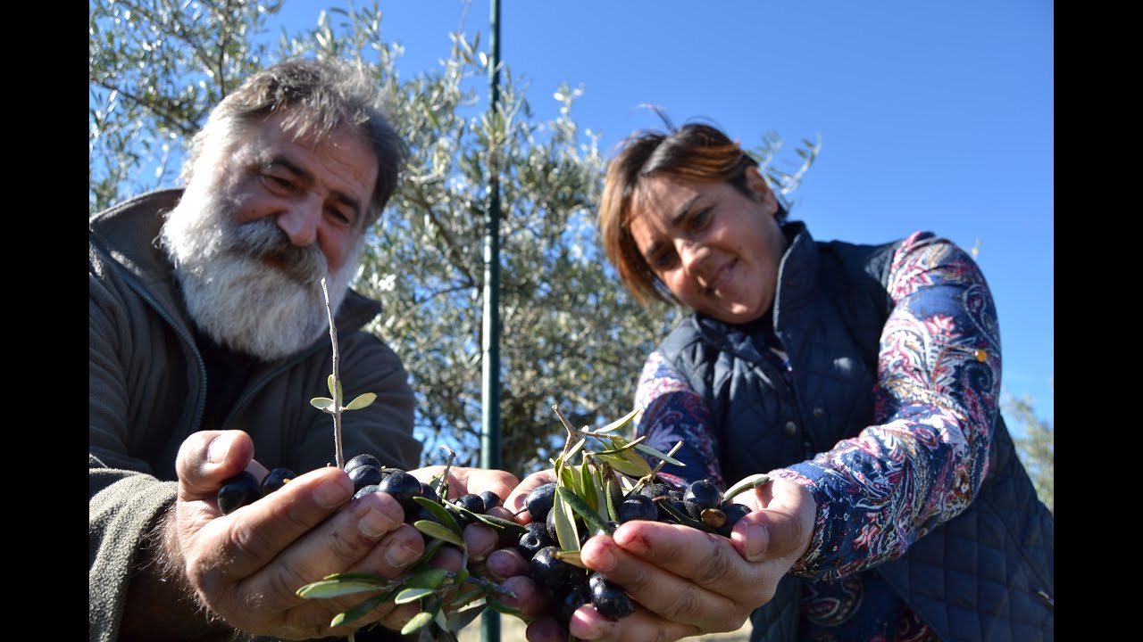 El Arcón El tesoro verde de Ahigal de los Aceiteros