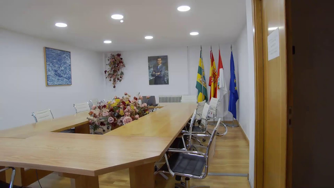 Pleno 21/02/2025