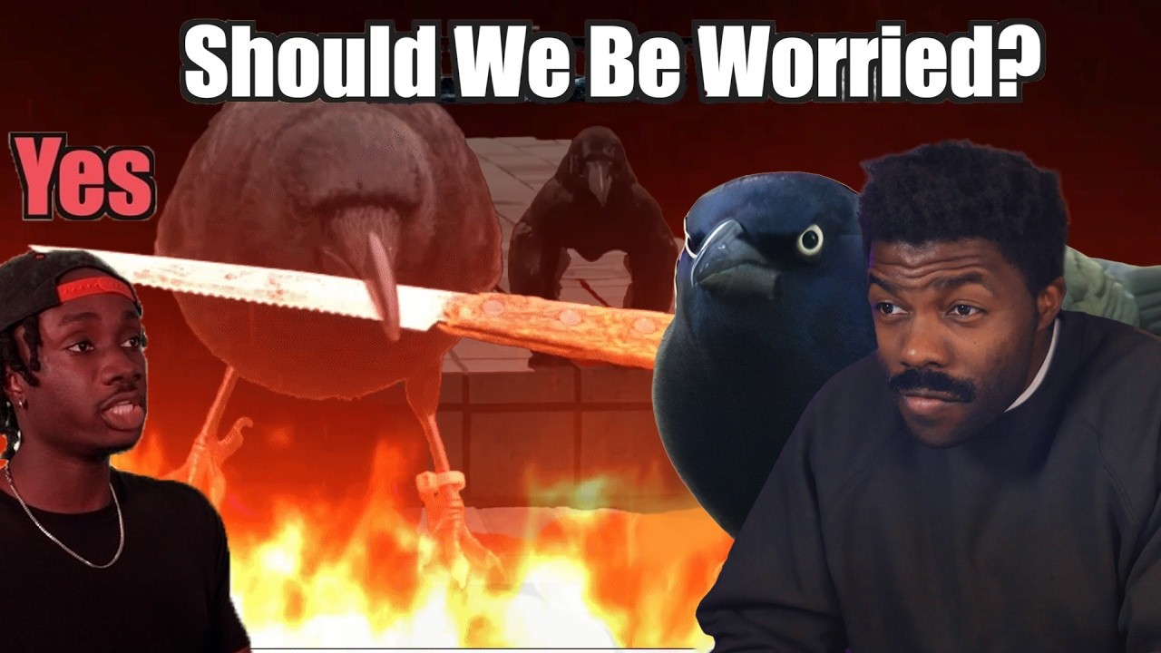 Crows Gave Earth's Biggest City the Middle Finger | The Chill Zone Reacts