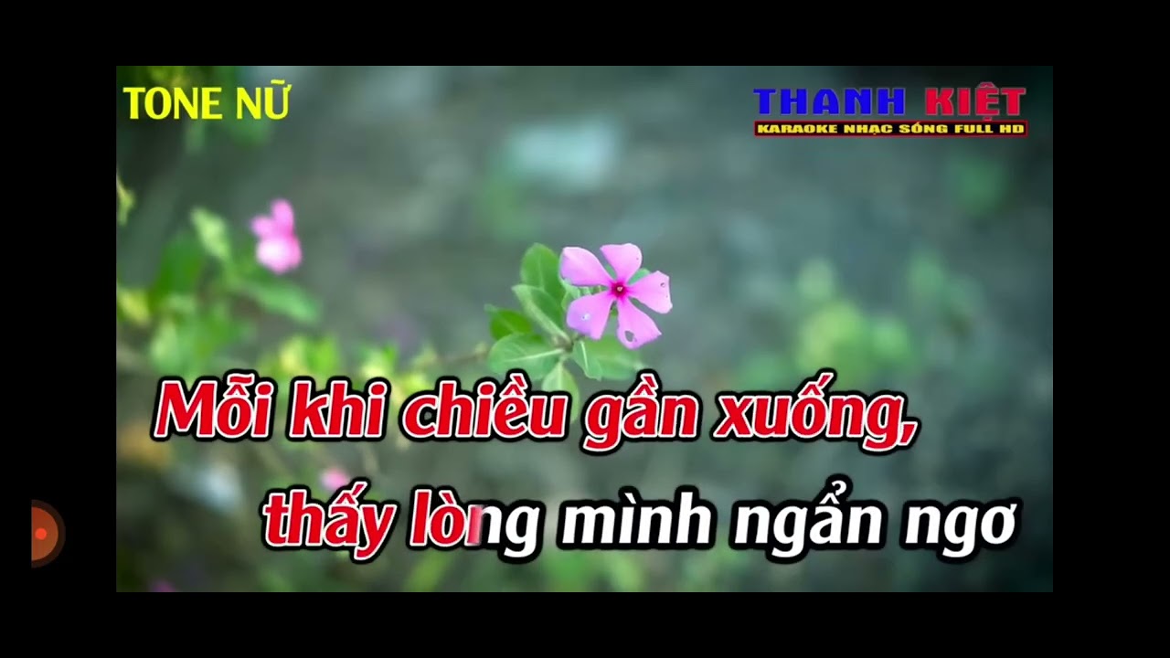 Yêu Một Mình - Nhan Nguyen - Karaoke