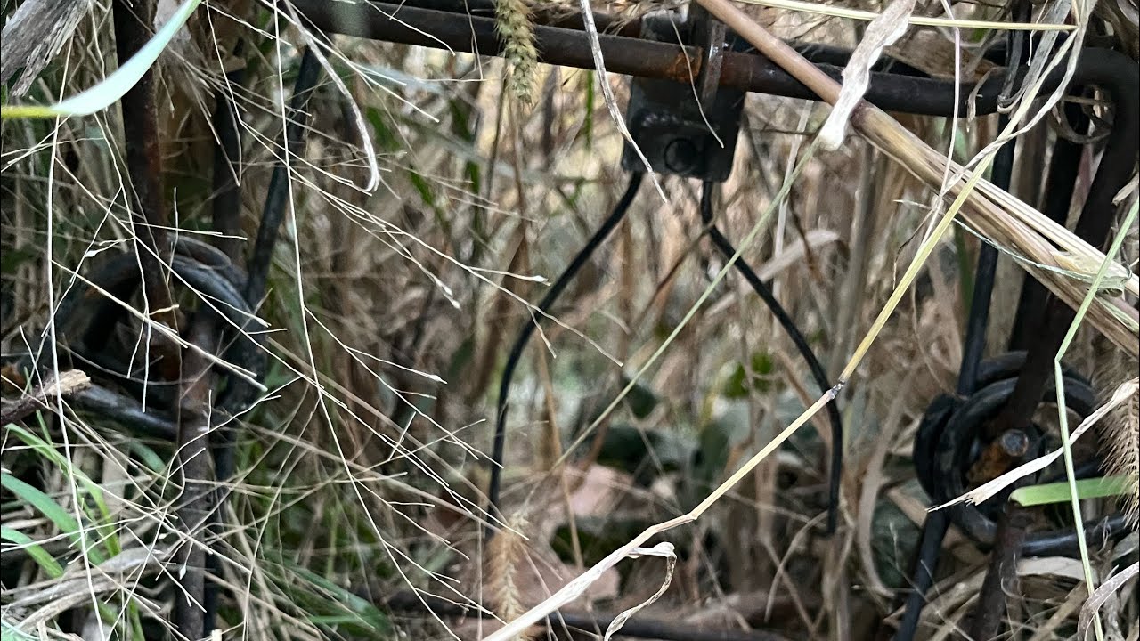 Over 400 Traps Set! Let Season Begin!!
