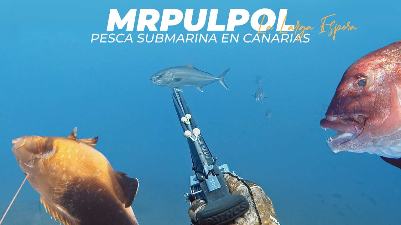🔱PESCA SUBMARINA EN CANARIAS. La larga espera. Mrpulpol (MEDREGAL, MERO, ABADE, SAMA...)