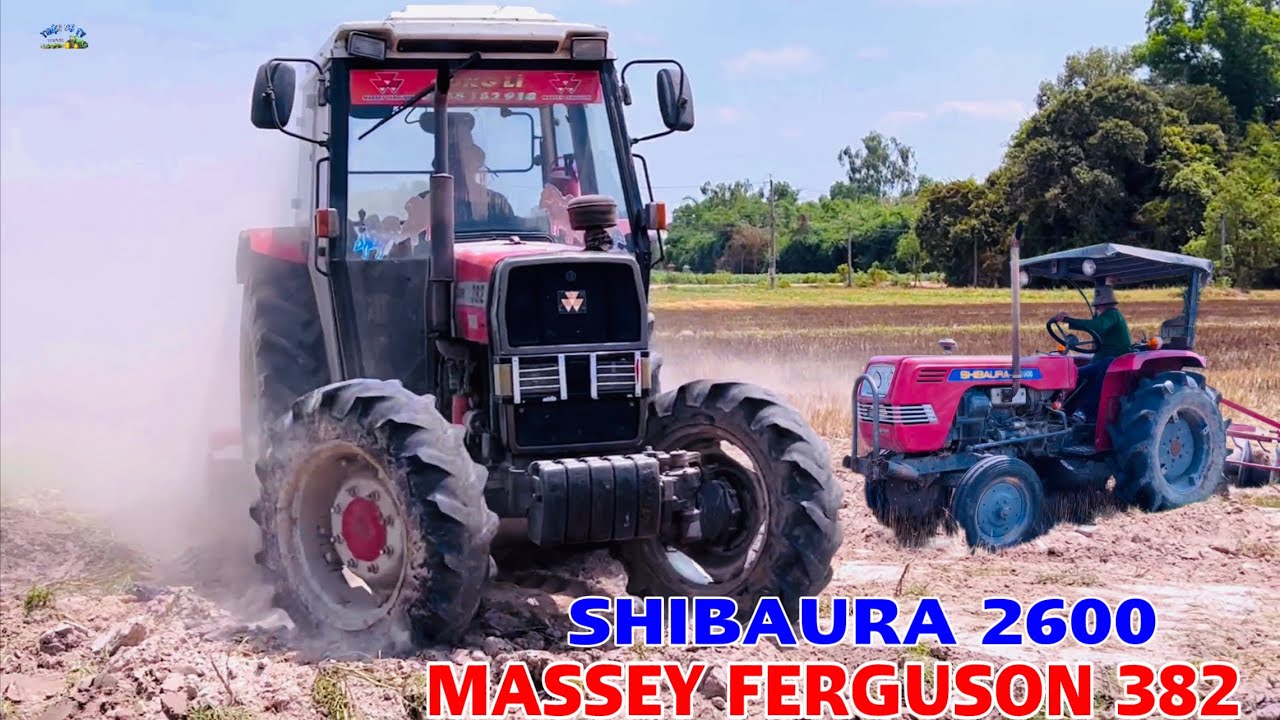 Chiếc máy cày shibaura rất đẹp tiếng pô nó lớn không thua kém gì mf 382 xới đất ruộng khô ở bến cầu