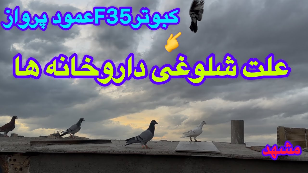 پایان چاشنی رفتن ناوگان حریف!پرش ناوگان عظیمF35سید پیمان!قوانین جذب تاثیر مدار بر بیماری !مشهد