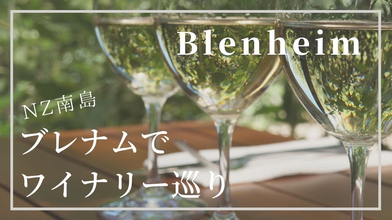 NZ南島 ブレナムでワイナリーめぐり【Wine country, Blenheim NewZealand】