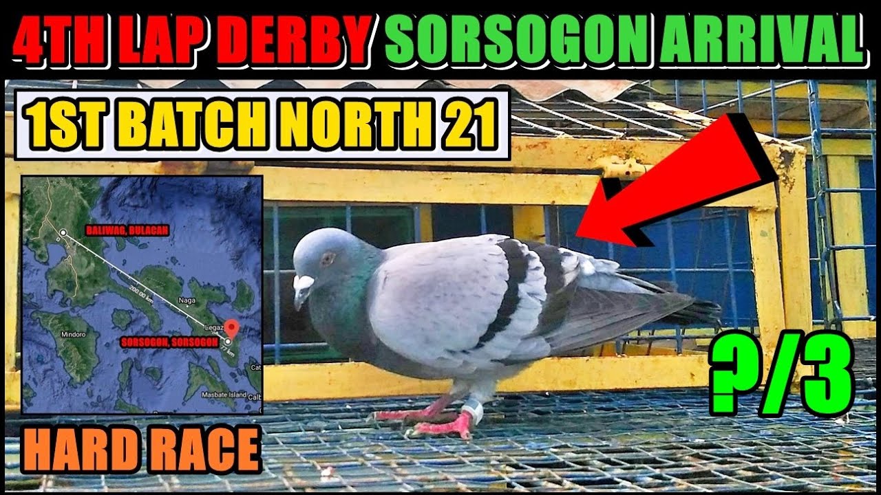 BAWAS NANAMAN? 4TH LAP DERBY SORSOGON ARRIVAL 1ST BATCH NORTH 2021