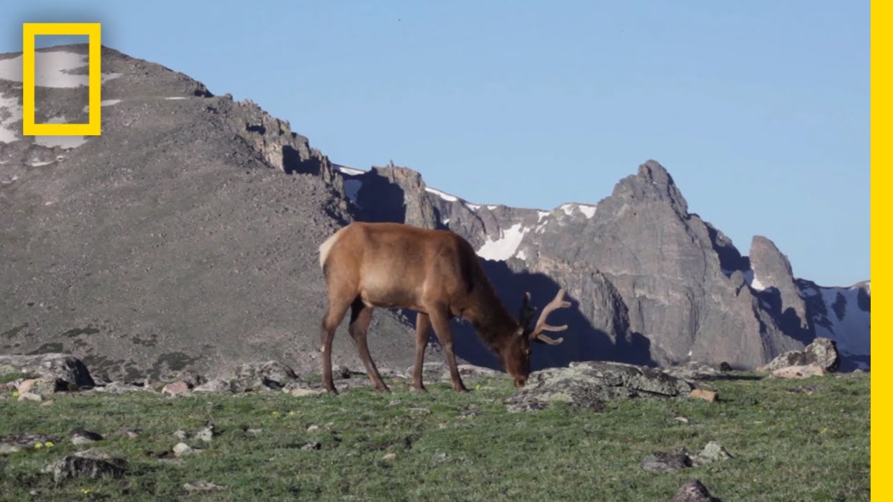 What Are Tundras? | National Geographic
