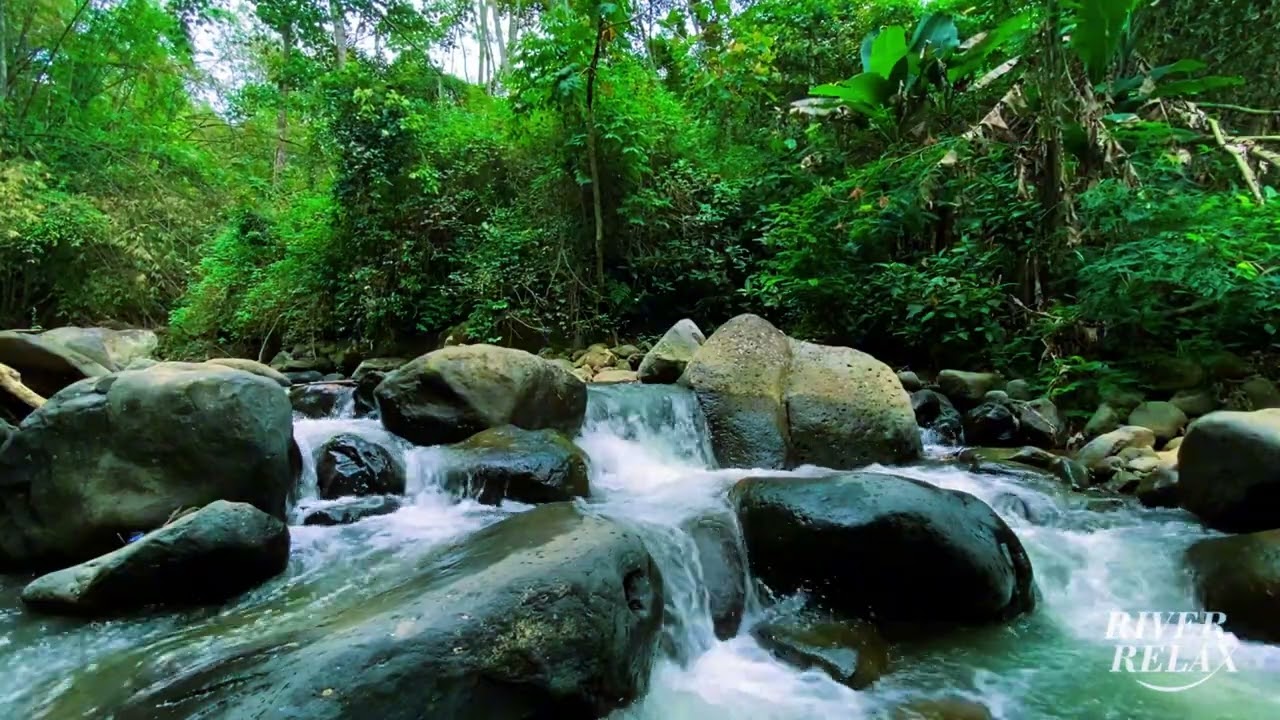 Feeling Out of Control? 😣 | River Ambience – Nature Water ASMR for Calm, Focus, and Recovery