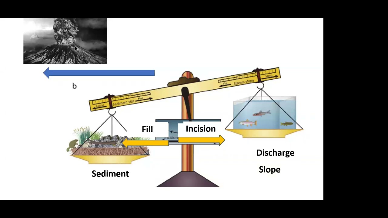 A Diagnosis of Disturbed Rivers