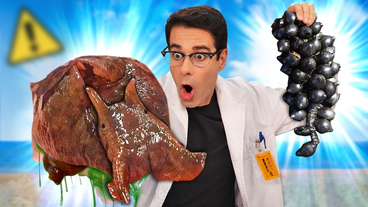 Encontr&eacute; ANIMALES MARINOS MUY EXTRA&Ntilde;OS en la Playa!! 🤯