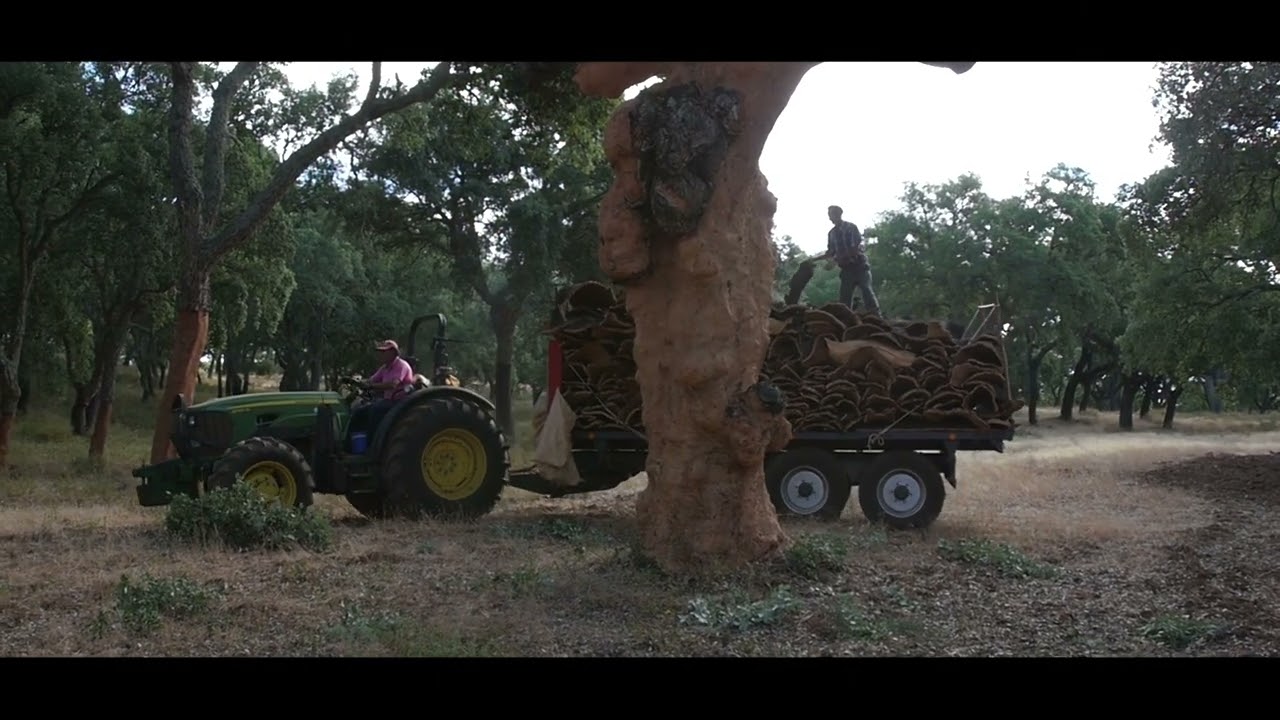 Expanded Cork - from Harvest to production by Amorim