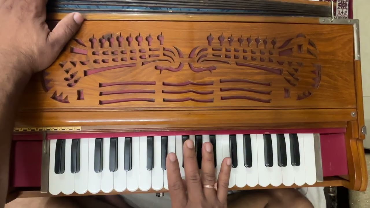 Harmonium bajana sikhe. | sargam matra ke saath |  harmonium tutorial. | harmonium sargam sadhna