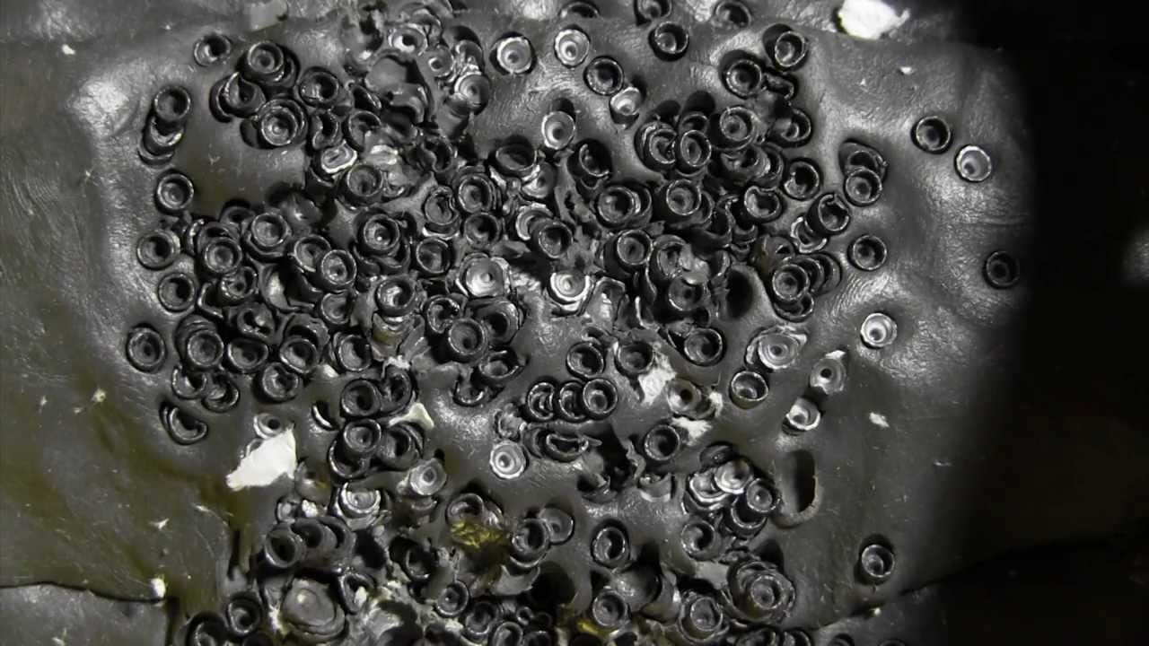 Improving your pellet trap
