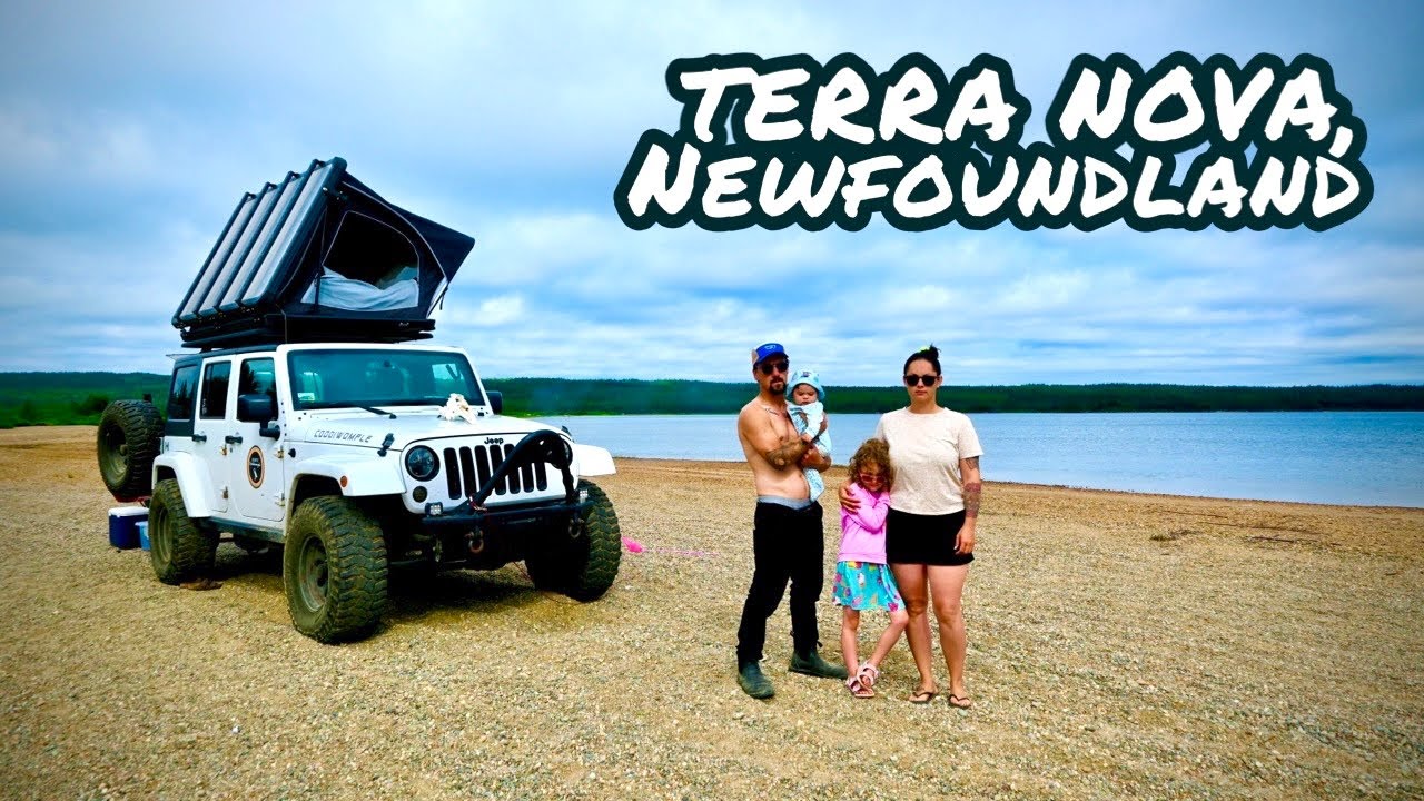 Eaten Alive by Bugs in Terra Nova, Newfoundland | 4K