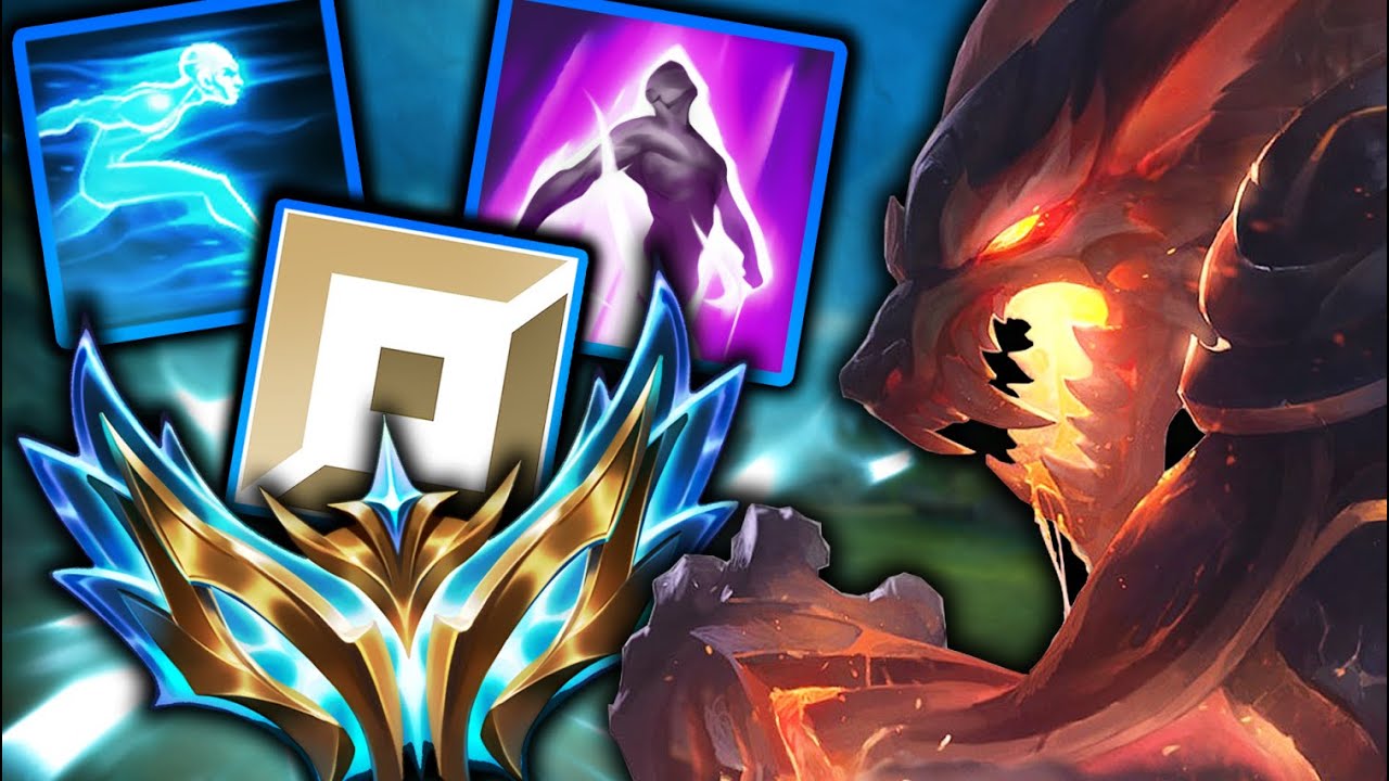 The Ultimate Warwick Top Guide